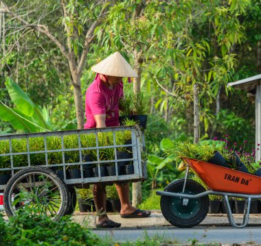 Sa Dec, Vietnam - 31 Ocak 2016. İnsanlar Sa Dec, Vietnam bahar zamanında çiçek ekimi üzerinde çalışan.
