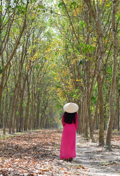 Asian Traditional Dress Dai Conical Hat Walking Rural Road Southern — Stock Photo, Image