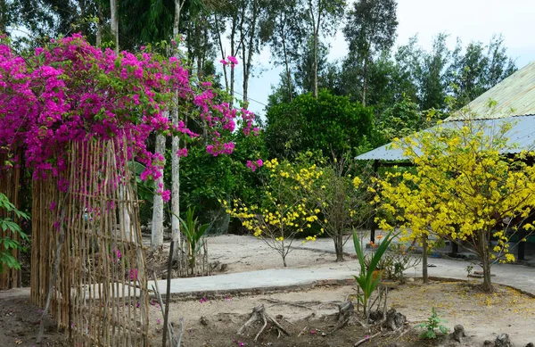 Rural house with flower garden at sunny day in Mekong Delta, Vietnam.