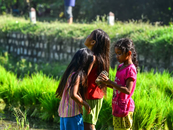Can Tho Vietnam Sep 2017 Girls Playing Paddy Rice Field — Stock Photo, Image