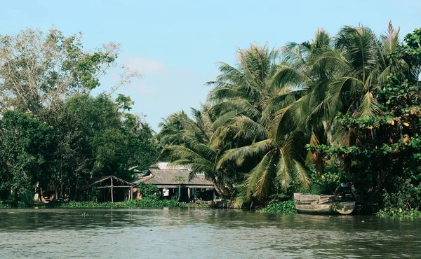 Pohled Řeku Mekong Dong Thap Vietnam Mekongská Pánev Jednou Nejbohatších — Stock fotografie