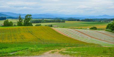 Yaz günü güzel kırsal manzara 