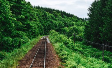Boş tramvay rayları