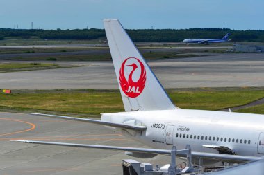 Hokkaido Yeni Chitose Havaalanı'nda uçak
