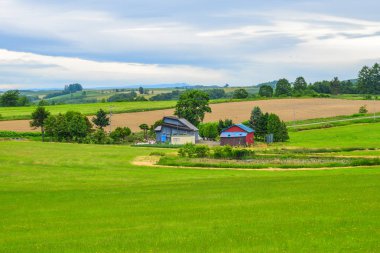 Yaz günü güzel kırsal manzara 
