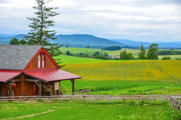 Beau paysage rural au jour d'été — Photo