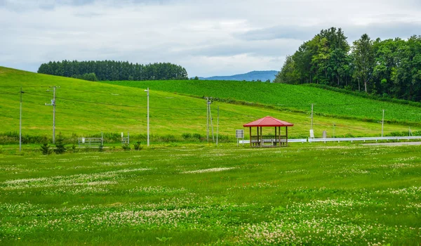 Beau paysage rural au jour d'été — Photo