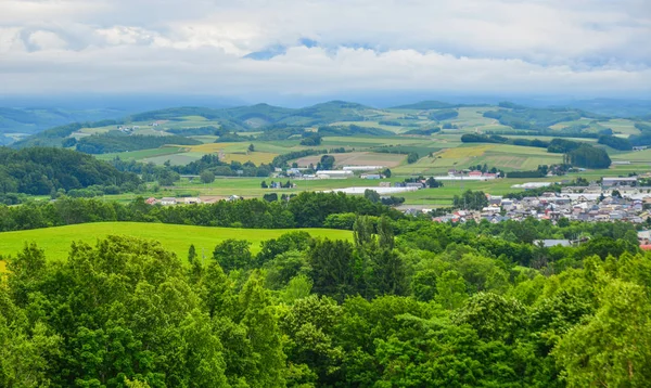 Schöne ländliche Landschaft an Sommertagen — Stockfoto