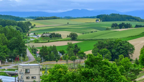 Beau paysage rural au jour d'été — Photo