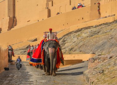 Amber Fort'tan süslenmiş fil sürme
