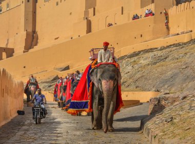 Amber Fort'tan süslenmiş fil sürme