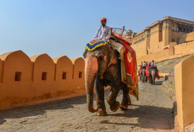 Amber Fort'tan süslenmiş fil sürme