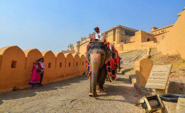 Amber Fort'tan süslenmiş fil sürme