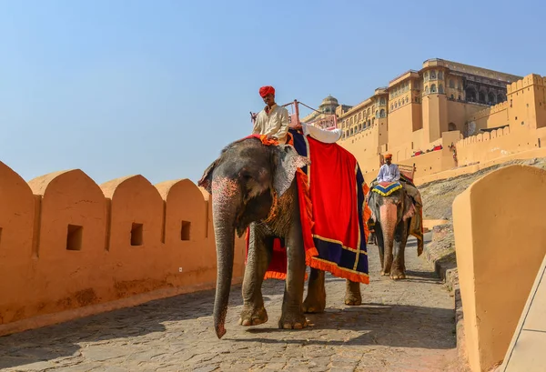 Equitazione decorato elefante da Amber Fort — Foto Stock