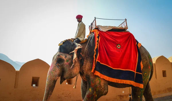 Equitazione decorato elefante da Amber Fort — Foto Stock