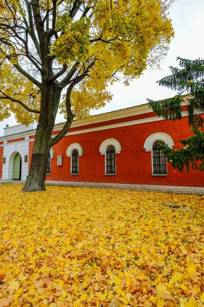 Herfst Park in St. Petersburg, Rusland — Stockfoto