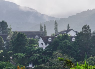 Cameron Highlands dağ manzarası 