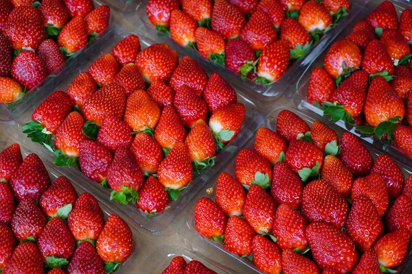 Frutti di fragola rossa al mercato rurale — Foto Stock