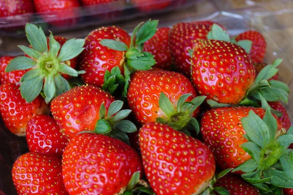 Frutti di fragola rossa al mercato rurale — Foto Stock