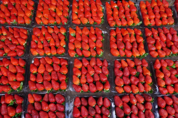 Frutas vermelhas de morango no mercado rural — Fotografia de Stock