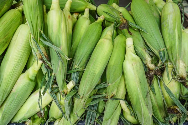 Kırsal pazarda satılık ham mısır 