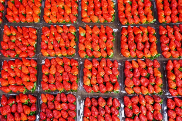 Frutti di fragola rossa al mercato rurale — Foto Stock