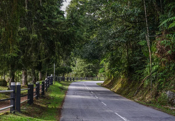 Strada di montagna — Foto Stock