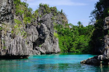 Filipinler, Palawan 'da tropik deniz 