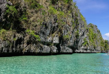 Filipinler, Palawan 'da tropik deniz 