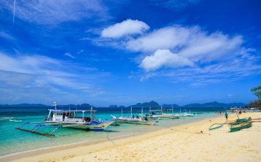 Filipinler, Palawan 'da tropik deniz 