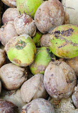 Markette satılık hindistan cevizi meyveleri.