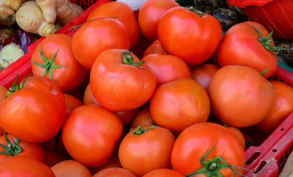 Färsk tomat på landsbygdsmarknaden — Stockfoto