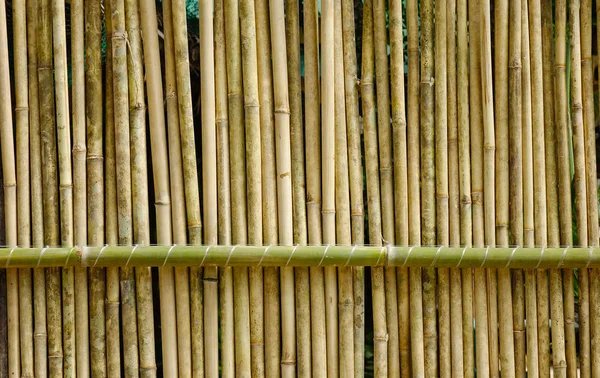 Fechar a cerca de madeira em um resort tropical — Fotografia de Stock