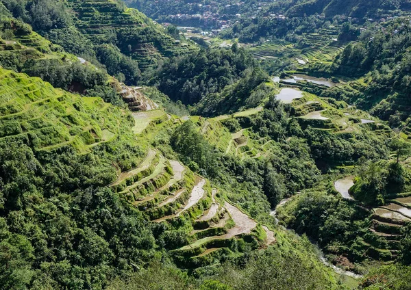 Paysages de montagne à Banaue, Philippines — Photo