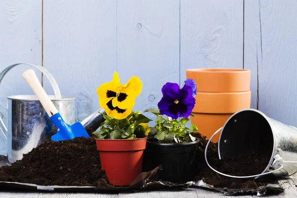 Equipment for planting flowers in the home garden — Stock Photo, Image