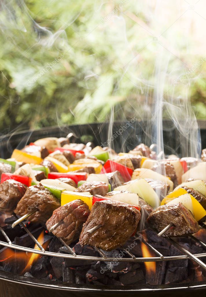 Grilled beef skewers with onions and peppers color.
