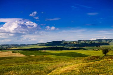 Güzel ve mucizevi renkleri yeşil bahar peyzaj Toskana, İtalya.