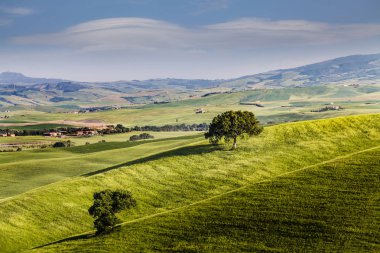 Güzel ve mucizevi renkleri yeşil bahar peyzaj Toskana, İtalya.