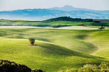 Güzel ve mucizevi renkleri yeşil bahar peyzaj Toskana, İtalya.