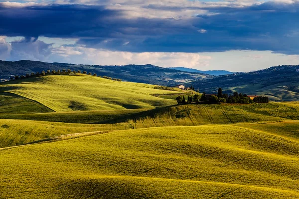 Beautiful Miraculous Colors Green Spring Landscape Tuscany Italy — Stock Photo, Image