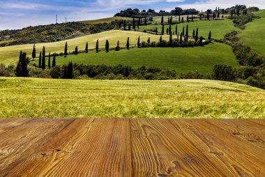 Toskana yol ile servi ağaçları, val d'orcia, İtalya