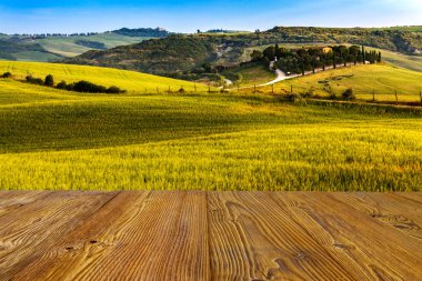 Güzel ve mucizevi renkleri yeşil bahar peyzaj Toskana, İtalya.