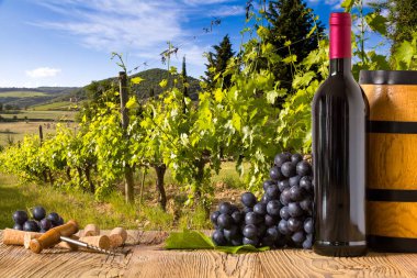 Kırmızı şarap şişeleri ile üzüm wodden gemide. Güzel Tuscany arka plan