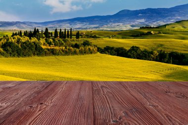 Güzel ve mucizevi renkleri yeşil bahar peyzaj Toskana, İtalya.