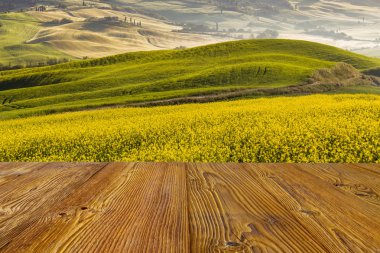 Güzel ve mucizevi renkleri yeşil bahar peyzaj Toskana, İtalya.