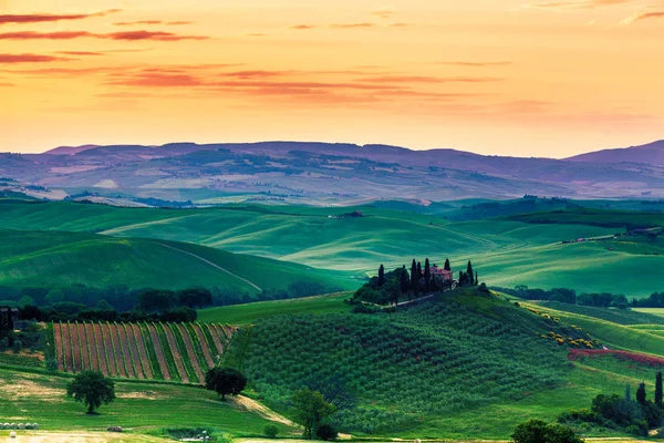 Beautiful Miraculous Colors Green Spring Landscape Sunset Tuscany Italy — Stock Photo, Image