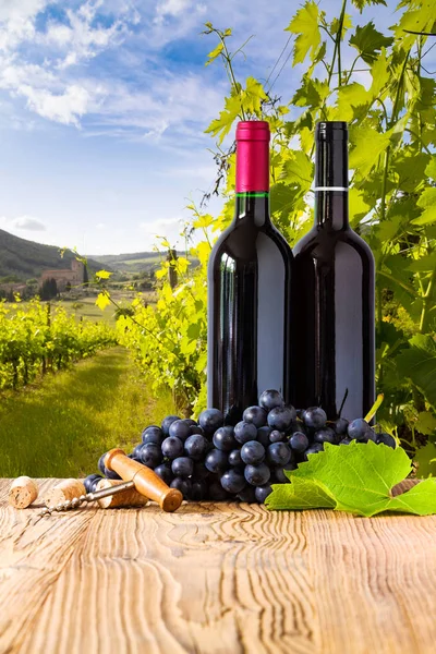 Garrafas Vinho Tinto Com Uvas Bordo Belo Fundo Toscana — Fotografia de Stock