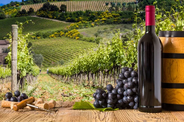 Garrafas Vinho Tinto Com Uvas Bordo Belo Fundo Toscana — Fotografia de Stock