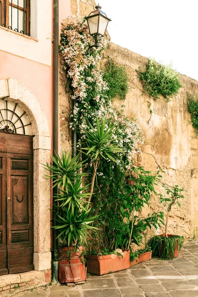 Antiguas Calles Ciudad Sorano Italia — Foto de Stock