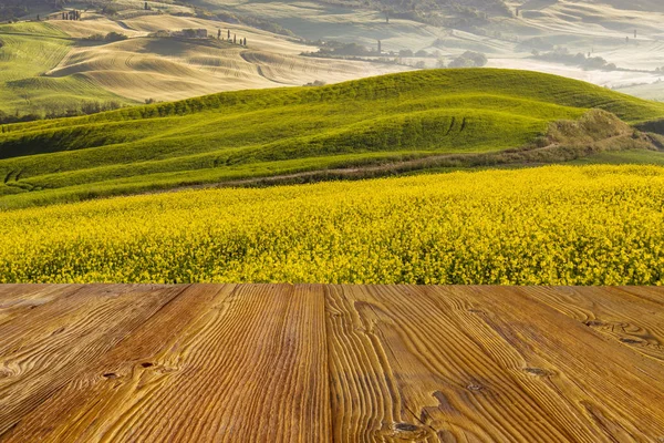 Güzel ve mucizevi renkleri yeşil bahar peyzaj Toskana, İtalya.